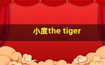 小度the tiger